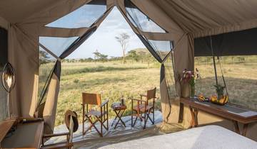 Experience the Best 8 Days Kenya Safari with Reasonable Price. Tour