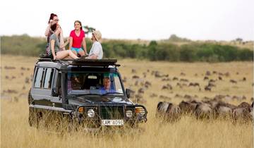 Discover Kenya’s Top 8-Day Group Sharing Safari: The Most Updated Safari Starting from Nairobi for 2025 and 2026 Tour
