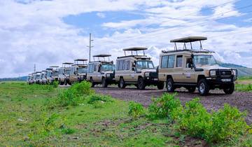 Discover Our Today's Latest 9-Day Group Safari in Kenya: The Most Affordable Shared Kenya Safari Package for 2025 & 2026