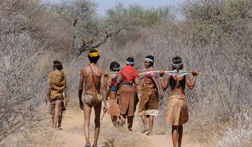 10 Day Botswana Safari Itinerary, incl. Moremi and Chobe