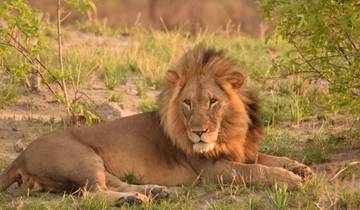 10 Day Botswana Safari Itinerary, incl. Moremi and Chobe