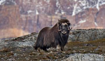 Serene Greenland - To the World's Largest National Park