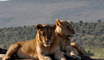 7 Days- Ngutuni Sanctuary, Taita Hills, Amboseli , Tsavo West and East Safari - Mombasa