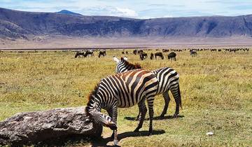 Kenia Safari 10 Tage Rundreise