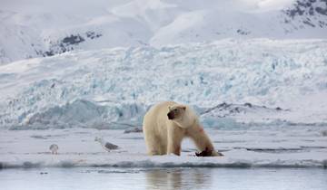 Svalbard Explorer Photography Expedition Micro Cruise with Paul Goldstein - 12 Guests Only Tour
