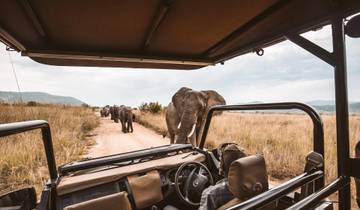 Tanzania Explorer - 5 days Camping Safari Tour