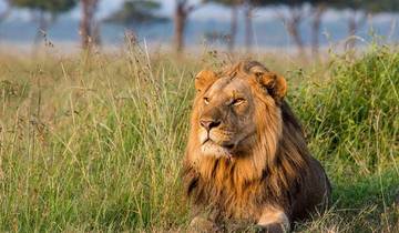 【Kenya】Circuit de luxe - pack de 11 jours et 10 nuits circuit