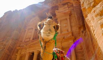 One day tour to Petra (Private - tailormade) Tour
