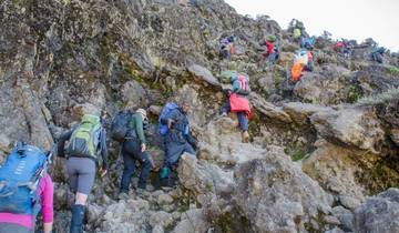 Kilimanjaro Climbing Machame Route 7 Days Tour