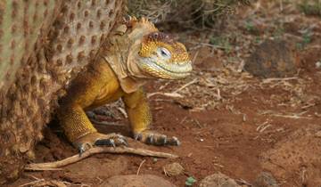 6 dagen Schatten van de Galapagos privé –Rondreis door