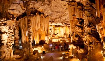 7 Days in South Africa, incl. Cape Town and Garden Route