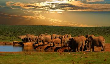 7 Days in South Africa, incl. Cape Town and Garden Route