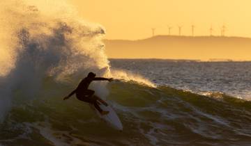 7 Days in South Africa, incl. Cape Town and Garden Route