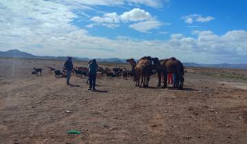 Circuito Marruecos exprés: un viaje de una semana