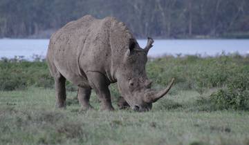 5 days Samburu Rhino Tracking Experience in Kenya.