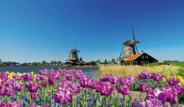 Tulips & Windmills (2025) (Amsterdam to Antwerp, 2025) Tour