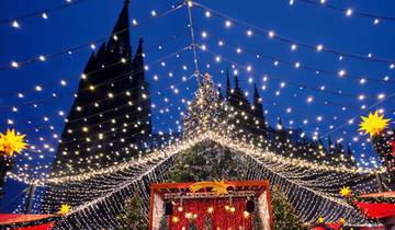Rhine Holiday Markets (2025) (Cologne to Basel, 2025) Tour