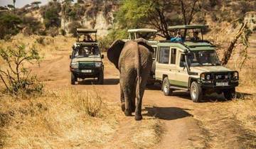 Circuito Circuito de un día al Parque Nacional de Tarangire