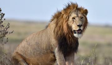 Unvergessliches Kenia private Safari - 6 Tage Rundreise