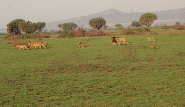 3 days Ngorongoro Wildlife Safari Tour