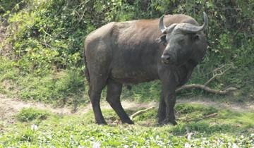 3 days Ngorongoro Wildlife Safari