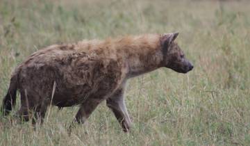3 days Ngorongoro Wildlife Safari