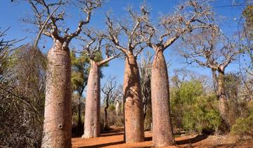 10 Day Madagascar Itinerary, incl. Antananarivo and Isalo National Park