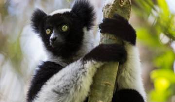 10 Day Madagascar Itinerary, incl. Antananarivo and Isalo National Park