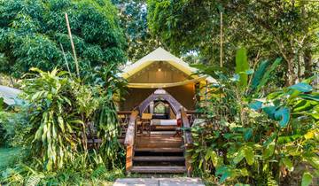 Livre de la jungle: Siam