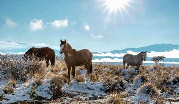 Hot Spring in Winter Mongolia 5D 4N Tour