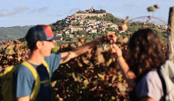 Croatia Trail Running Holidays - Istria