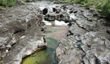 Colombia - Caño Cristales - River of the 7 Colors