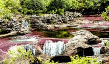 Circuito Colombia - Caño Cristales - Río de los 7 colores