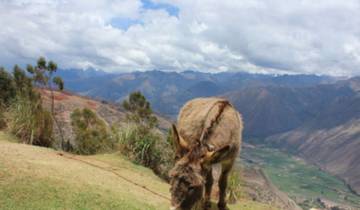 Inka Trail nach Machu Picchu