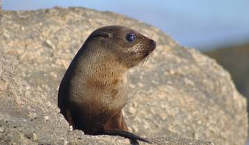 Découverte de l'île du Sud - 10 jours