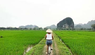 Hanoi - Ninh Binh 2 jours 1 nuit en limousine (Hoa Lu, Tam Coc, parc national de Cuc Phuong)