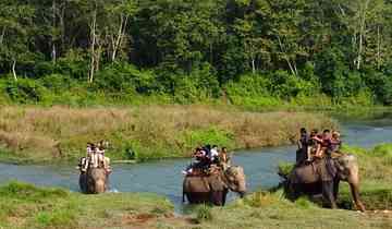 Nepal Sightseeing and Jungle safari tour - 8 Days Tour