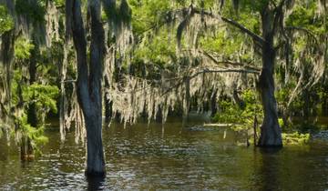8 Day Louisiana Itinerary, incl. New Orleans and Lafayette