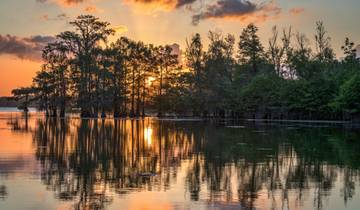 8 Day Louisiana Itinerary, incl. New Orleans and Lafayette