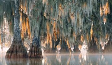 8 Day Louisiana Itinerary, incl. New Orleans and Lafayette