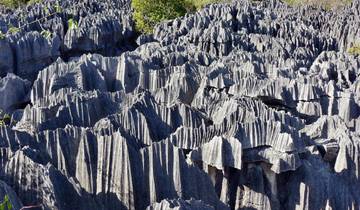 21 Days in Madagascar, incl. Antananarivo and Ranomafana