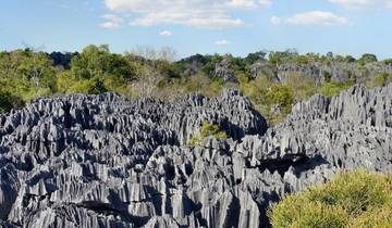 21 Days in Madagascar, incl. Antananarivo and Ranomafana