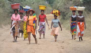 21 Days in Madagascar, incl. Antananarivo and Ranomafana