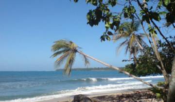Total Caribbean Tour