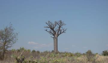 21 Day Madagascar Itinerary, incl. Antananarivo and Isalo National Park