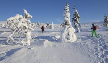Finland Bucket List: Winter Adventure in Lapland Tour