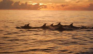 Honduras Exploration 14Days/13Nights