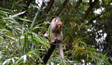 10-Day Family Adventure in Ecuador: Andean Highlands, Baños, & the Amazon rainforest's foothills