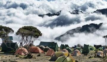 Ascension du Mont Kilimandjaro par la route Machame 9 jours (tous les hébergements et transports sont inclus) circuit