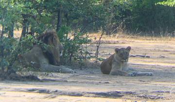 Beschermingssafari\'s & het Malawimeer-rondreis